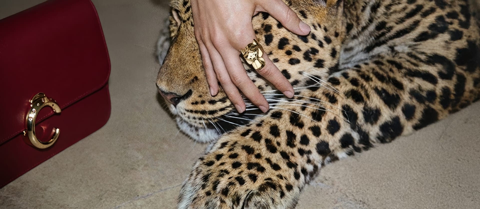 AI-SerieNanoCartier-6