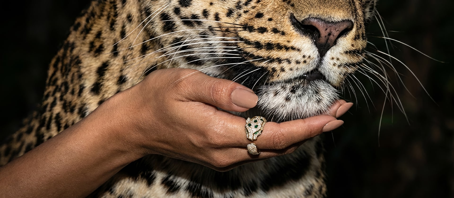 AI-SerieNanoCartier-7